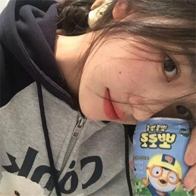 奇波和神奇动物的时代第三季